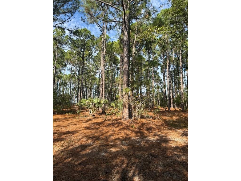 Cr-450 Umatilla FL 32784 V4946435 image3