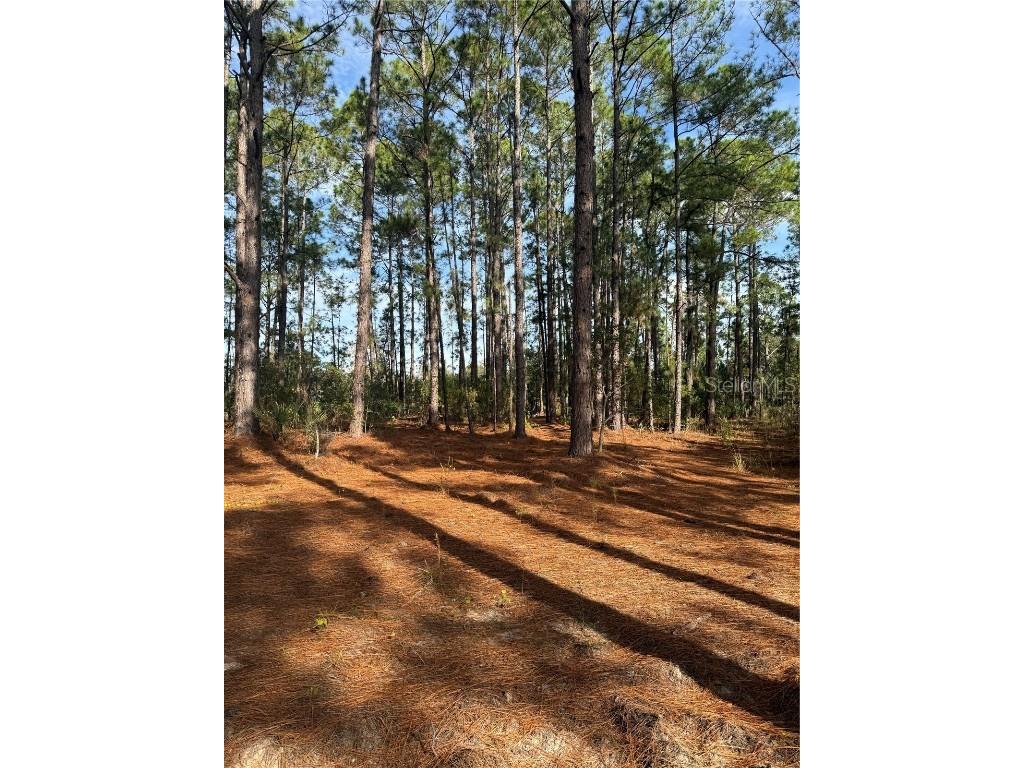 Cr-450 Umatilla FL 32784 V4946435 image4