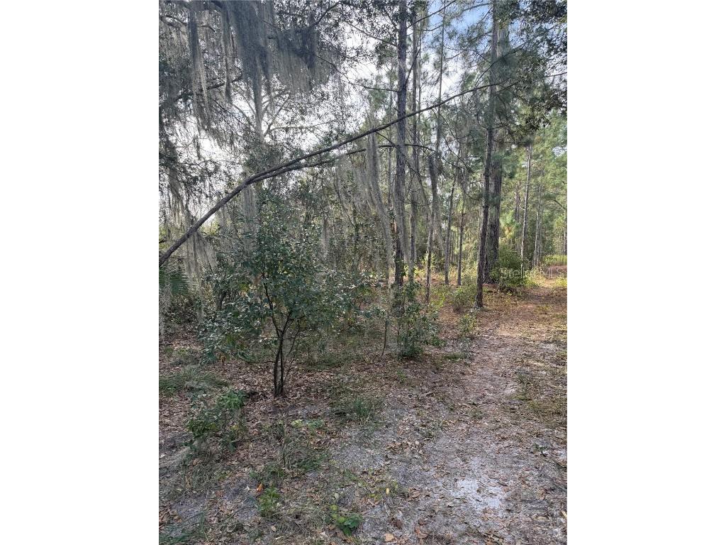 Cr-450 Umatilla FL 32784 V4946435 image5