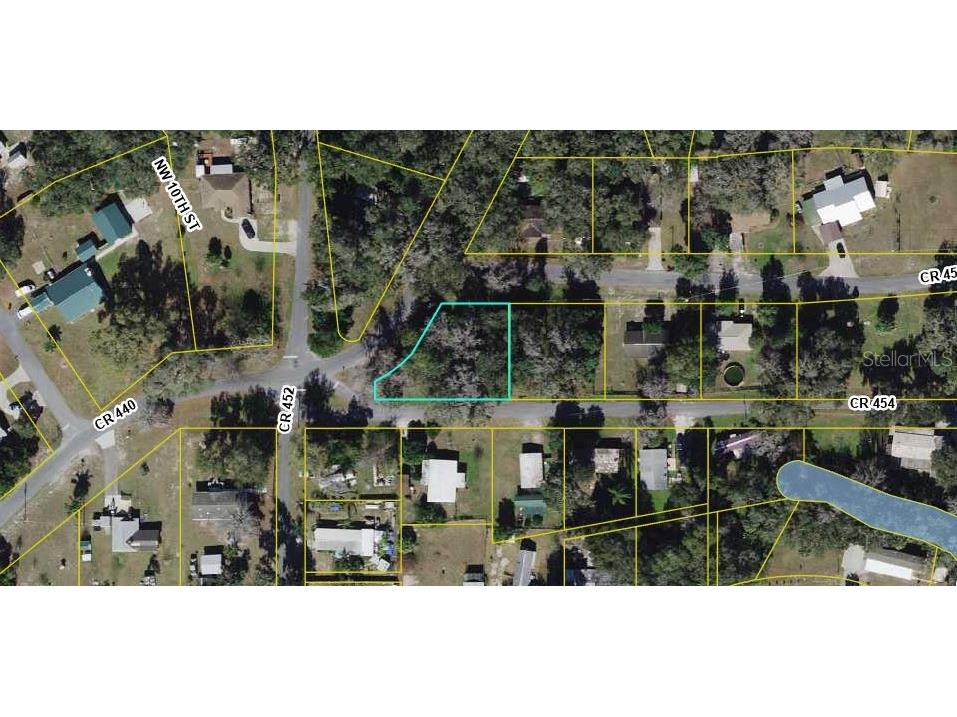 Cr 455 & Cr 454 Lake Panasoffkee FL 33538 G5092203 image1