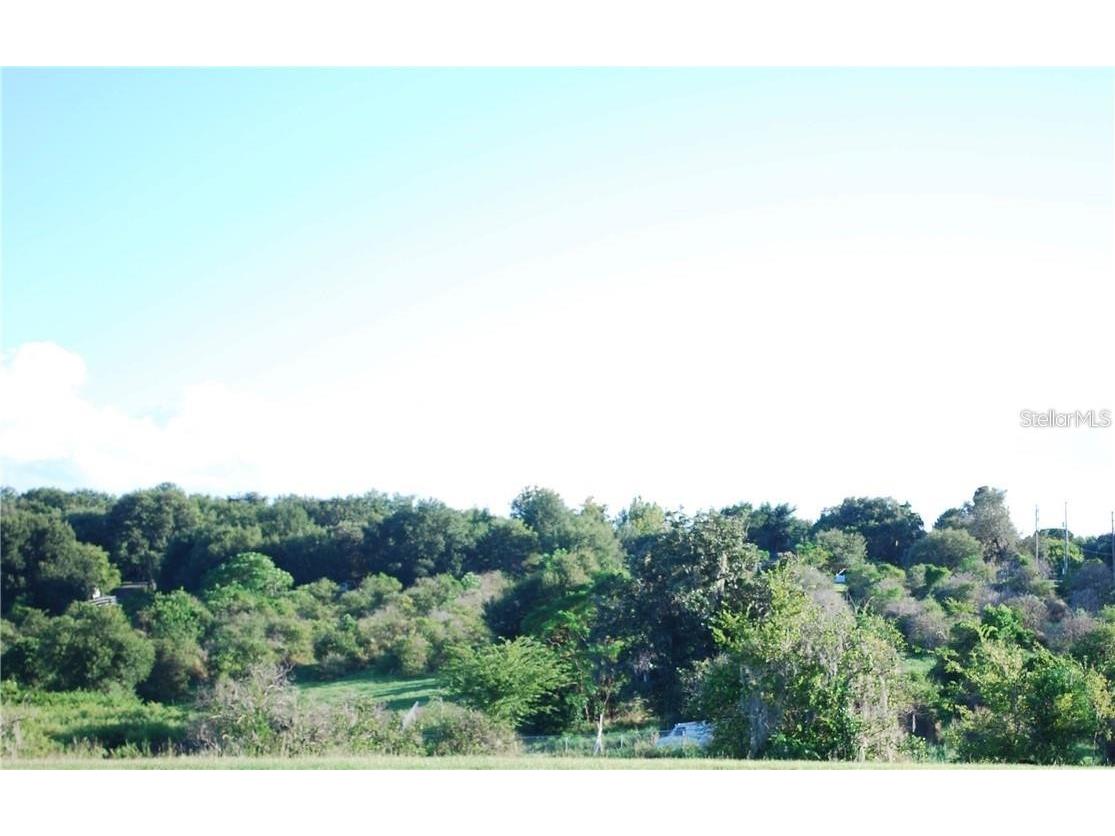 Cr-455 Seventh Montverde FL 34756 G5085032 image1