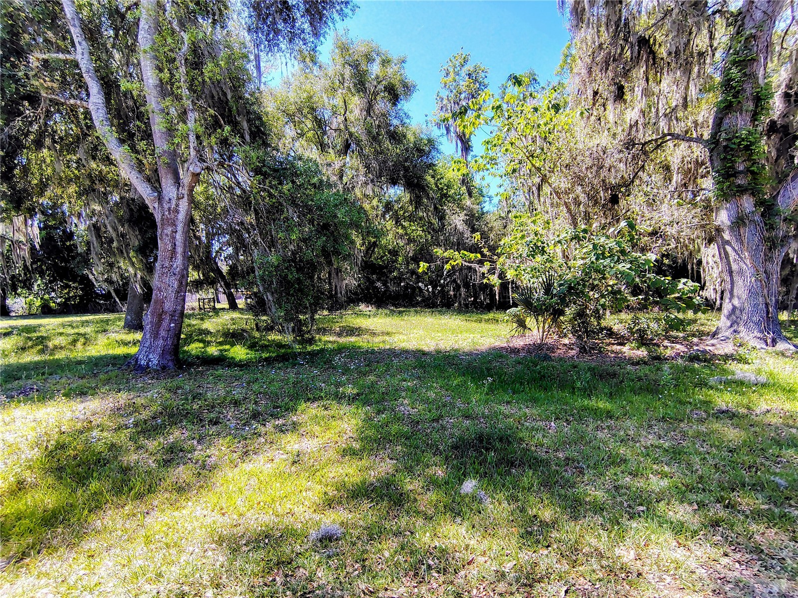 Cr 457 Lake Panasoffkee FL 33538 - LAKE PANASOFFKEE G5111112 image4