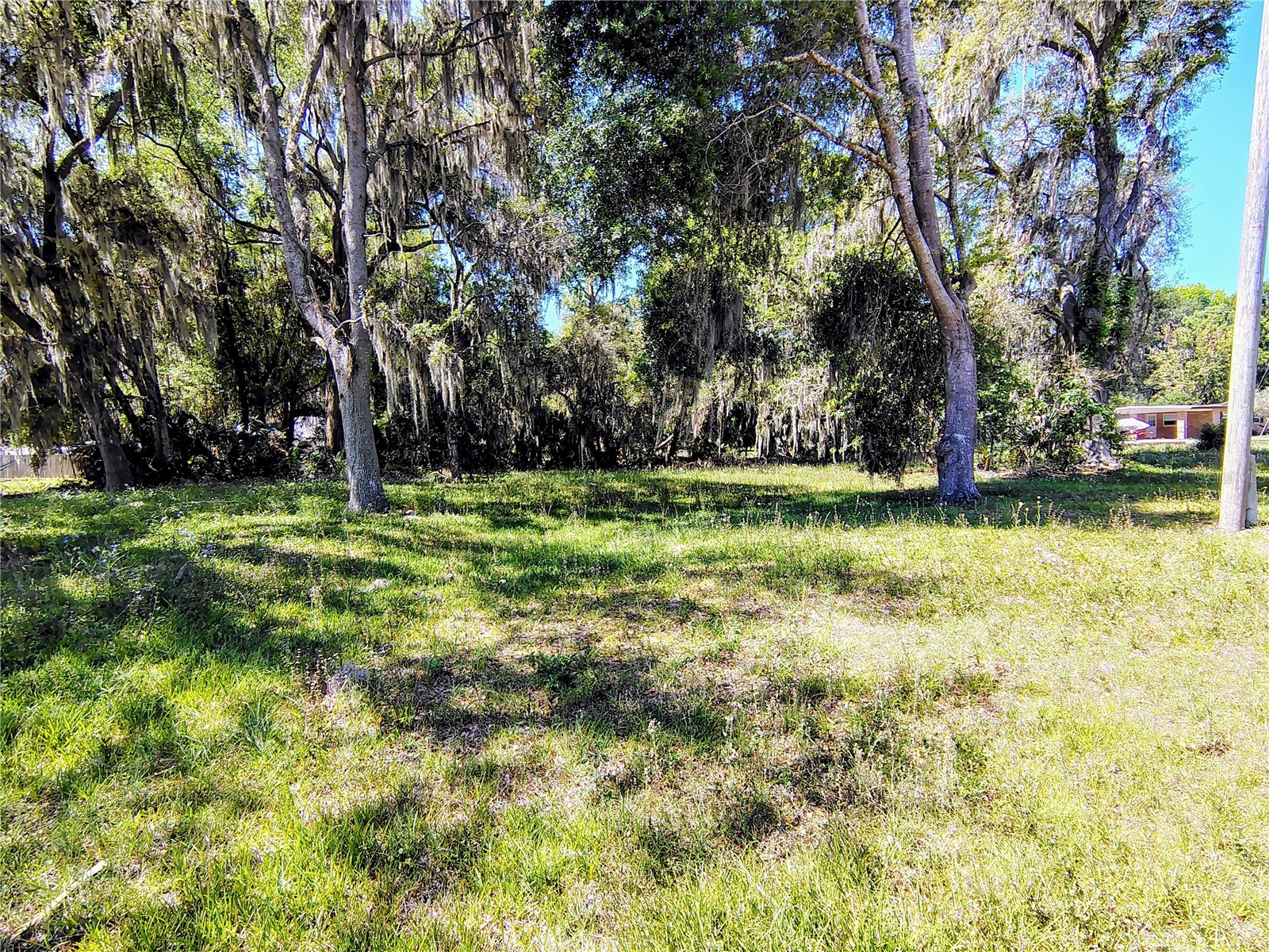 Cr 457 Lake Panasoffkee FL 33538 - LAKE PANASOFFKEE G5111112 image5