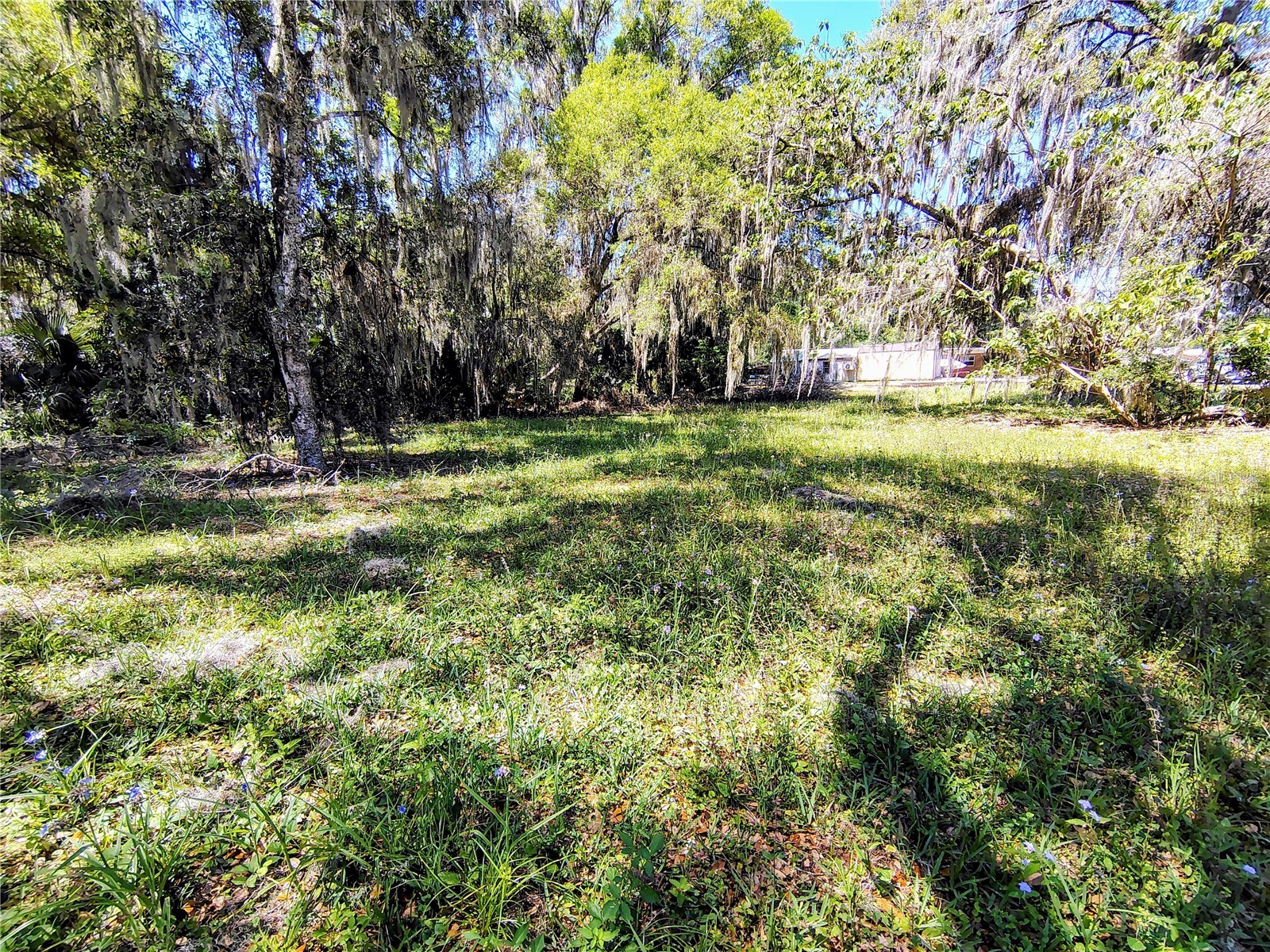 Cr 457 Lake Panasoffkee FL 33538 - LAKE PANASOFFKEE G5111112 image6