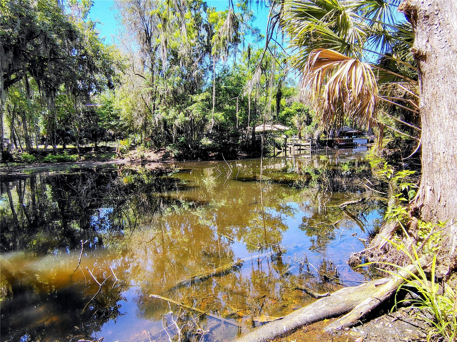 Cr 457 Lake Panasoffkee FL 33538 - LAKE PANASOFFKEE G5111112 image7