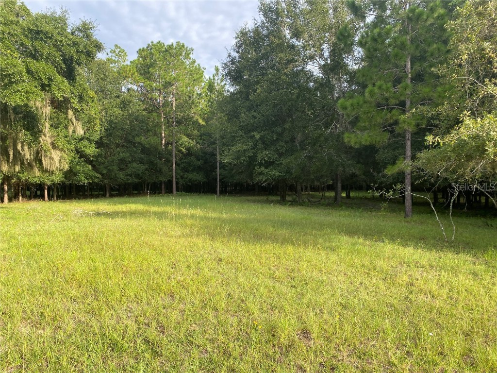 Cr 466 Oxford FL 34484 G5101501 image1