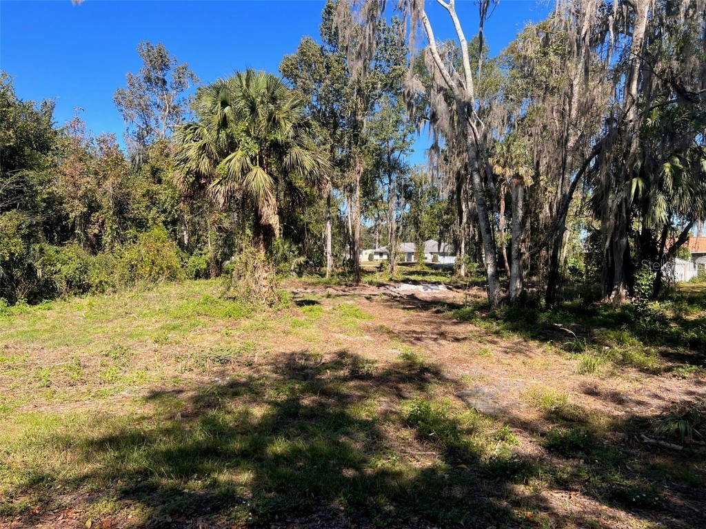Cr 467 Lake Panasoffkee FL 33538 G5075260 image1