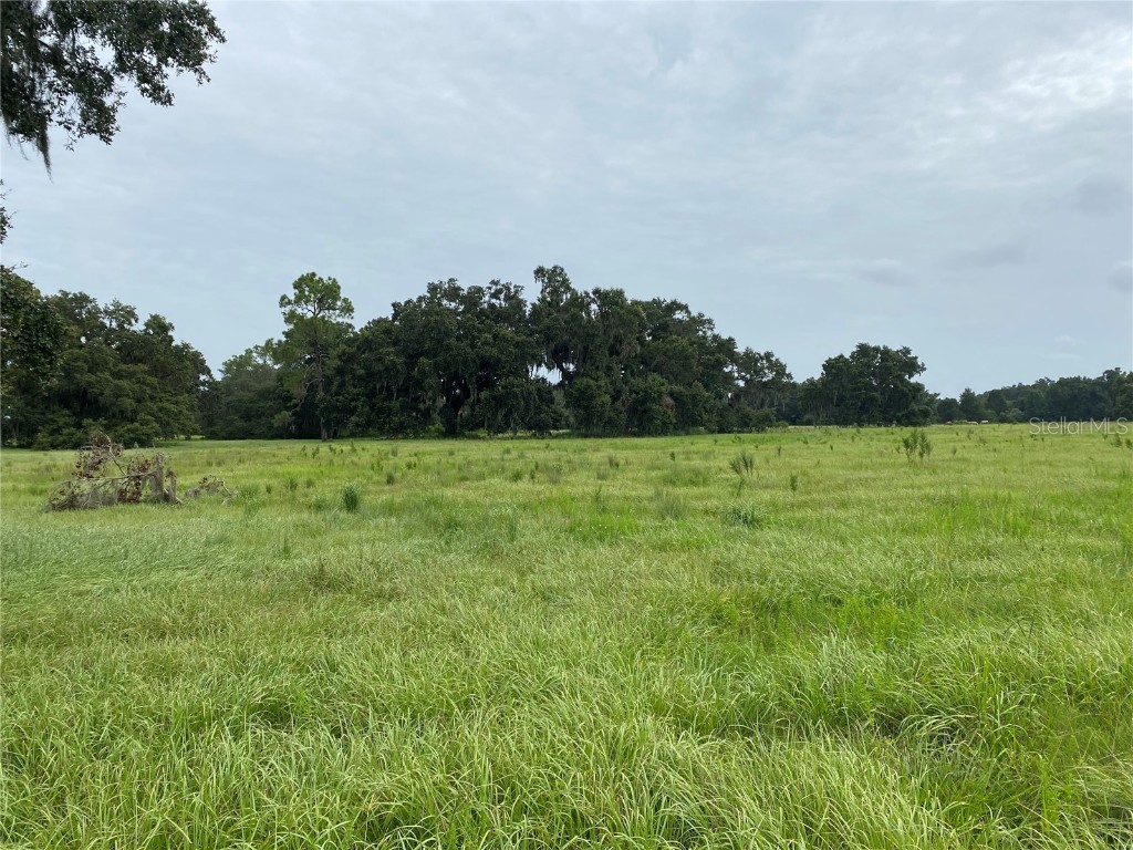 Cr 469 Center Hill FL 33514 G5059485 image1