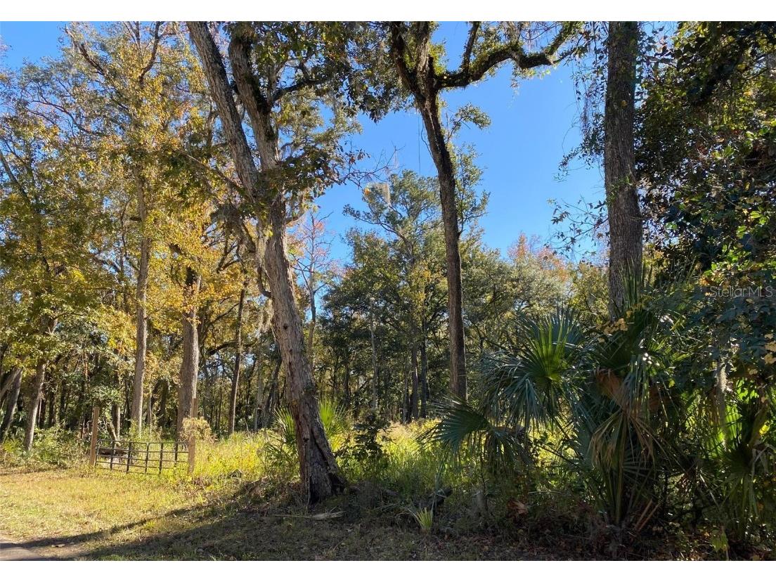 Cr-476 Brooksville FL 34601 W7876453 image5