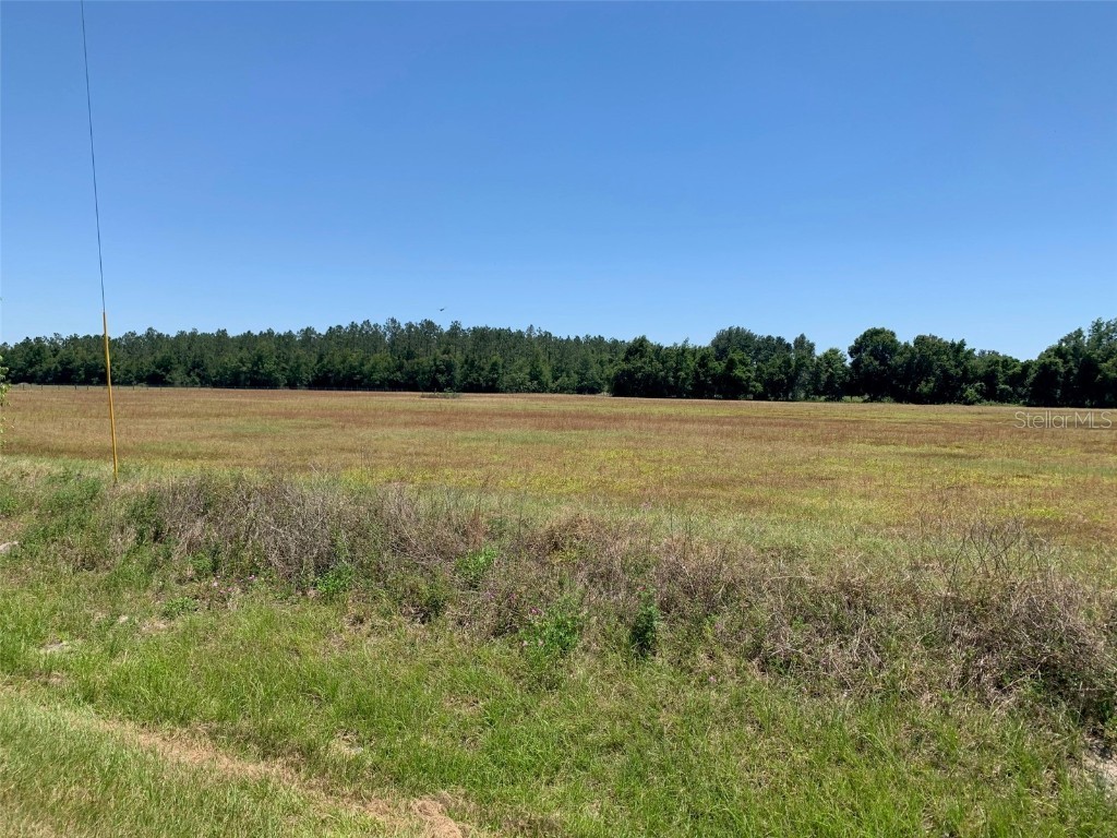 Cr 478a #LOTS 3 Webster FL 33597 G5054062 image1