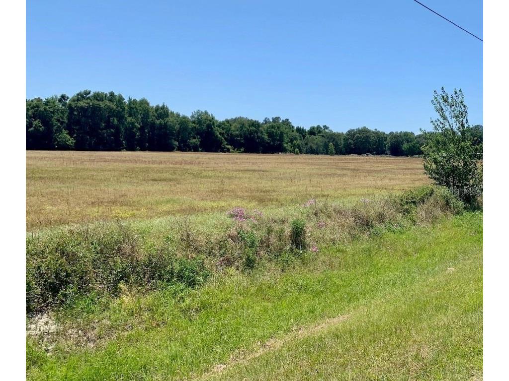 Cr 478a Webster FL 33597 T3448515 image1