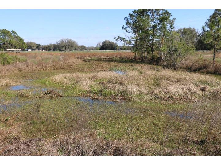 Cr 48 Bushnell FL 33513 O6283847 image12