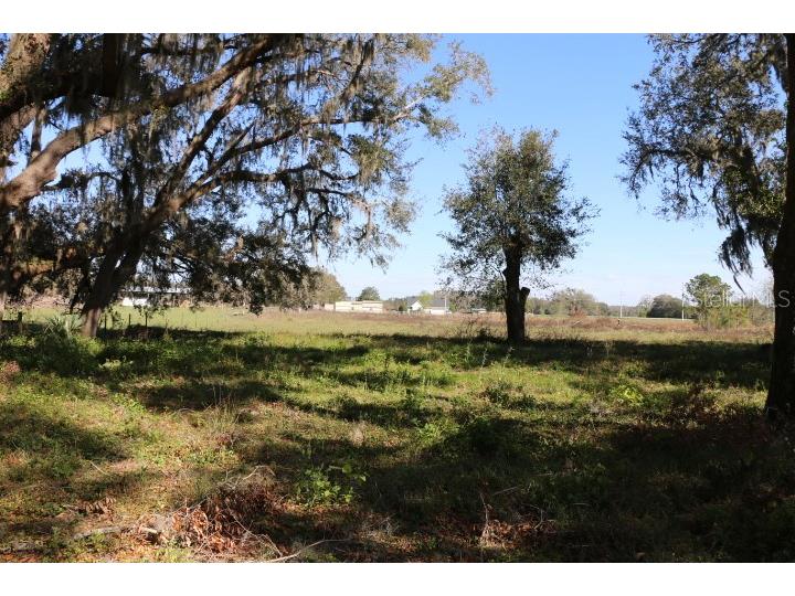 Cr 48 Bushnell FL 33513 O6283847 image14