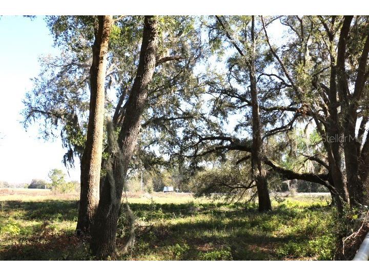 Cr 48 Bushnell FL 33513 O6283847 image15