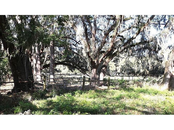 Cr 48 Bushnell FL 33513 O6283847 image16