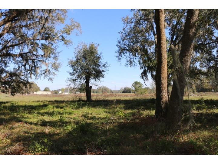 Cr 48 Bushnell FL 33513 O6283847 image17