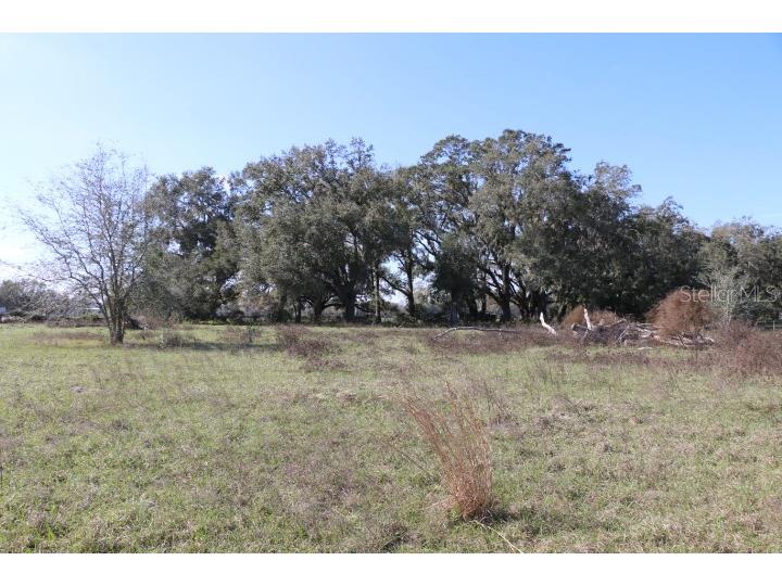 Cr 48 Bushnell FL 33513 O6283847 image19