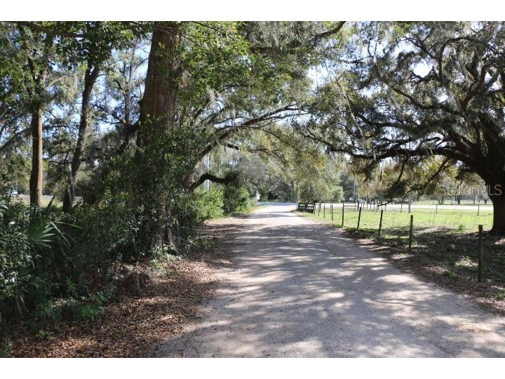 Cr 48 Bushnell FL 33513 O6283847 image2