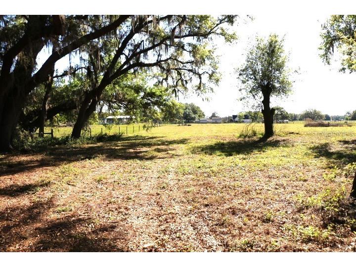 Cr 48 Bushnell FL 33513 O6283847 image22