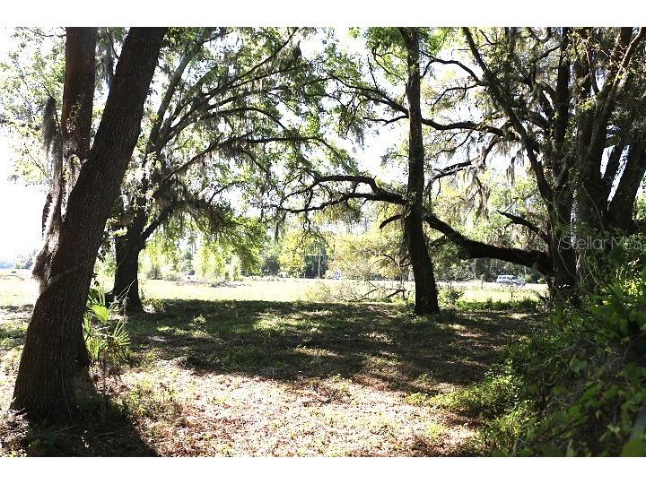 Cr 48 Bushnell FL 33513 O6283847 image25