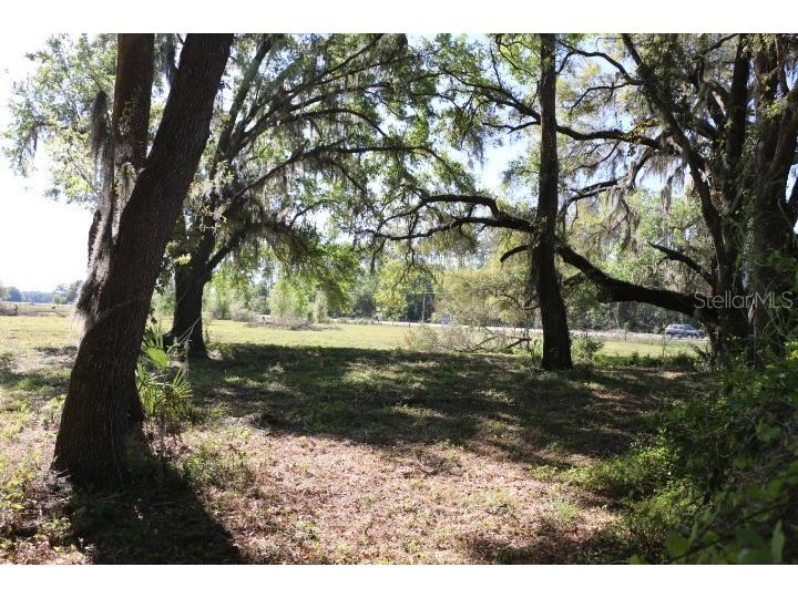 Cr 48 Bushnell FL 33513 O6283847 image26