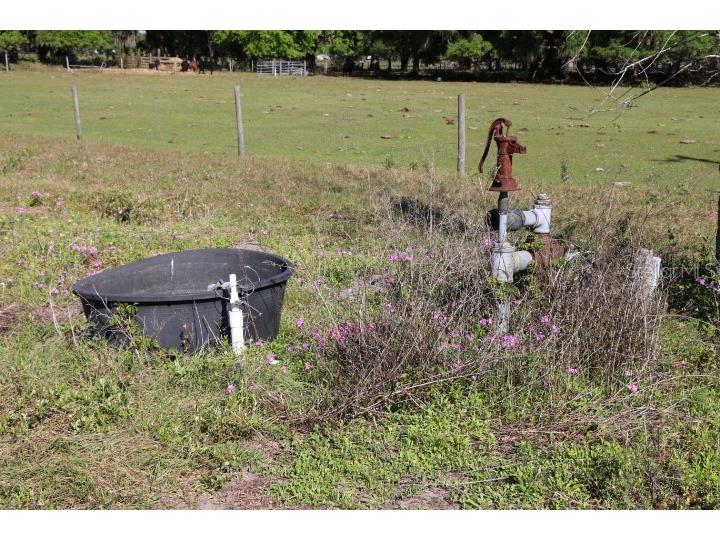 Cr 48 Bushnell FL 33513 O6283847 image3