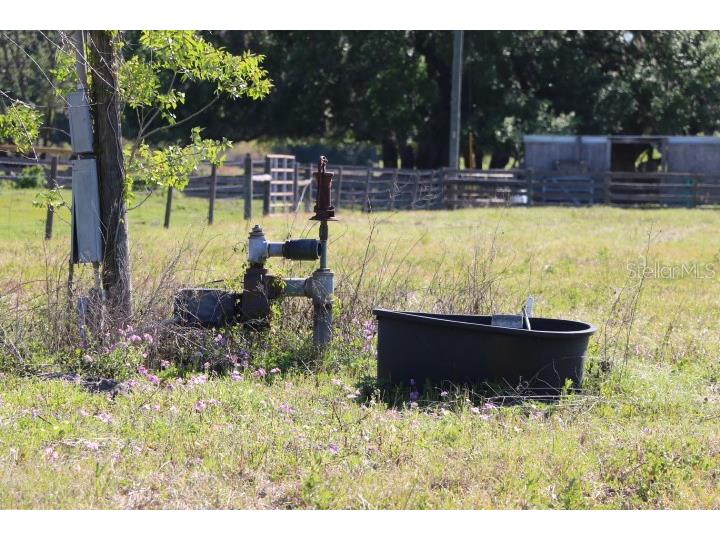 Cr 48 Bushnell FL 33513 O6283847 image32