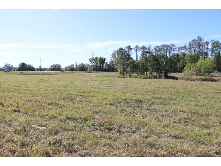 Cr 48 Bushnell FL 33513 O6283847 image34