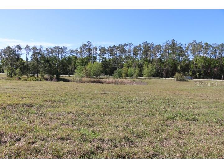 Cr 48 Bushnell FL 33513 O6283847 image35