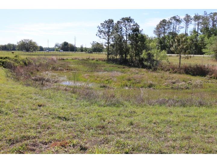 Cr 48 Bushnell FL 33513 O6283847 image39