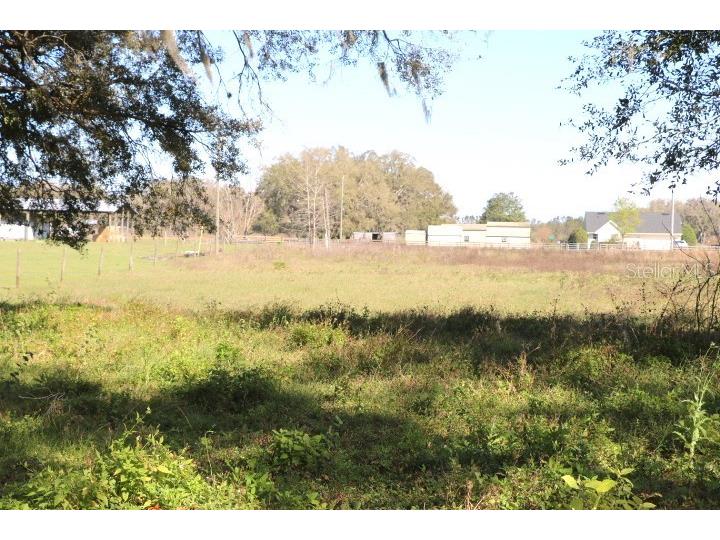 Cr 48 Bushnell FL 33513 O6283847 image4