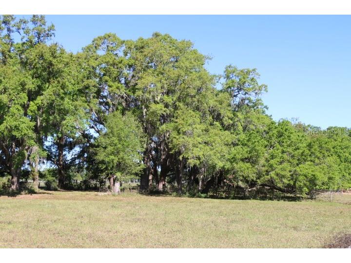 Cr 48 Bushnell FL 33513 O6283847 image40