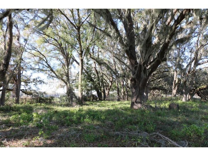 Cr 48 Bushnell FL 33513 O6283847 image5