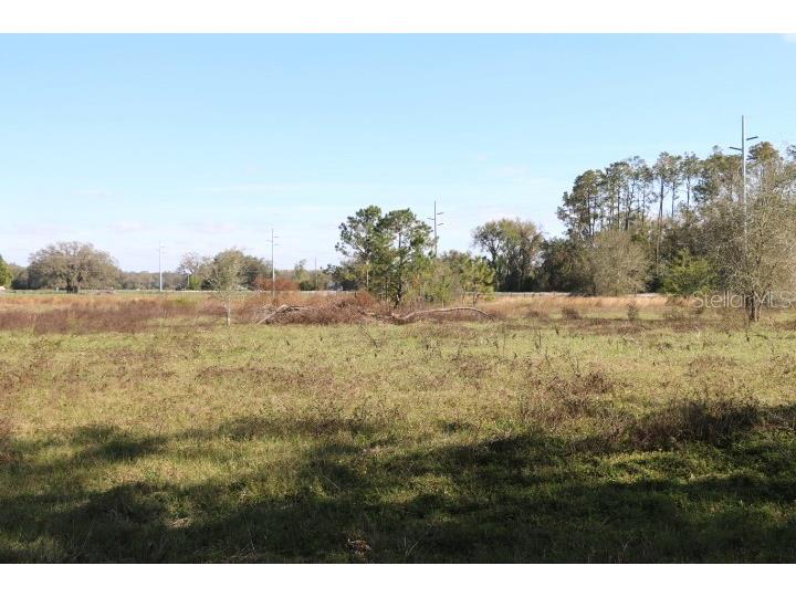 Cr 48 Bushnell FL 33513 O6283847 image6