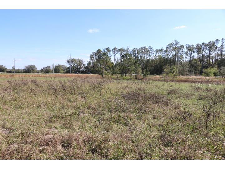 Cr 48 Bushnell FL 33513 O6283847 image7