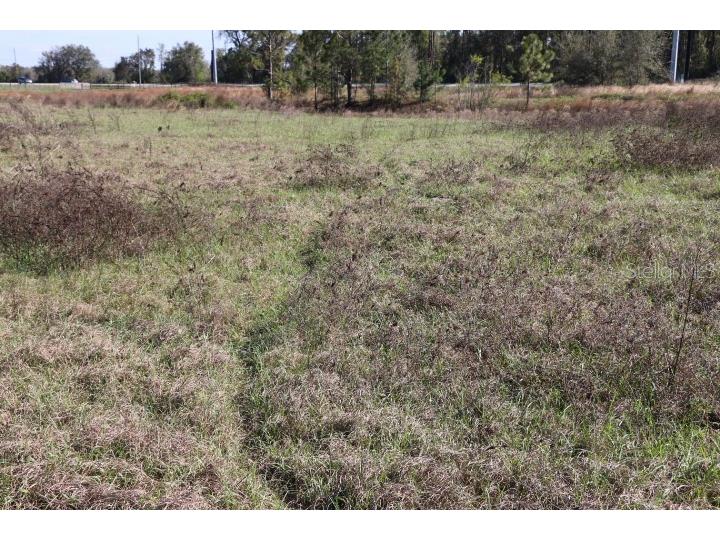 Cr 48 Bushnell FL 33513 O6283847 image8