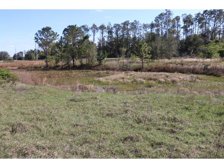 Cr 48 Bushnell FL 33513 O6283847 image9