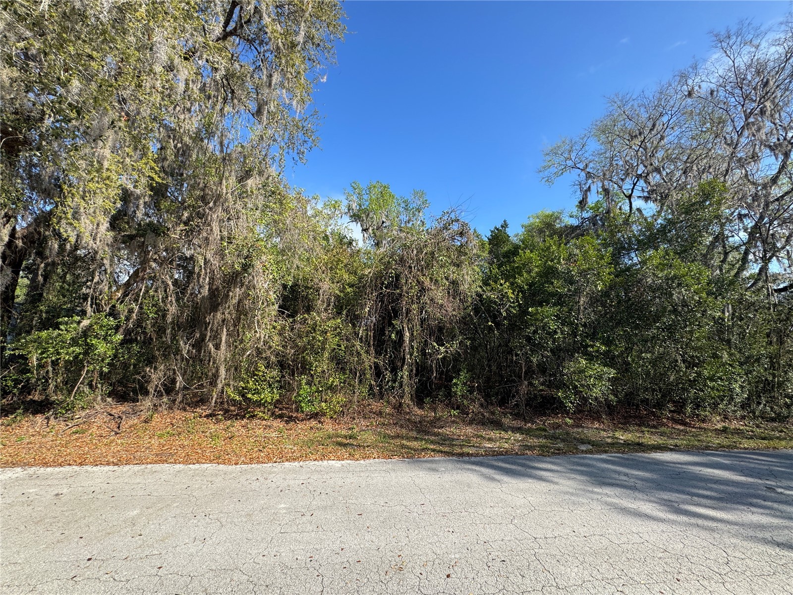 Cr 482c Lake Panasoffkee FL 33538 G5108731 image1