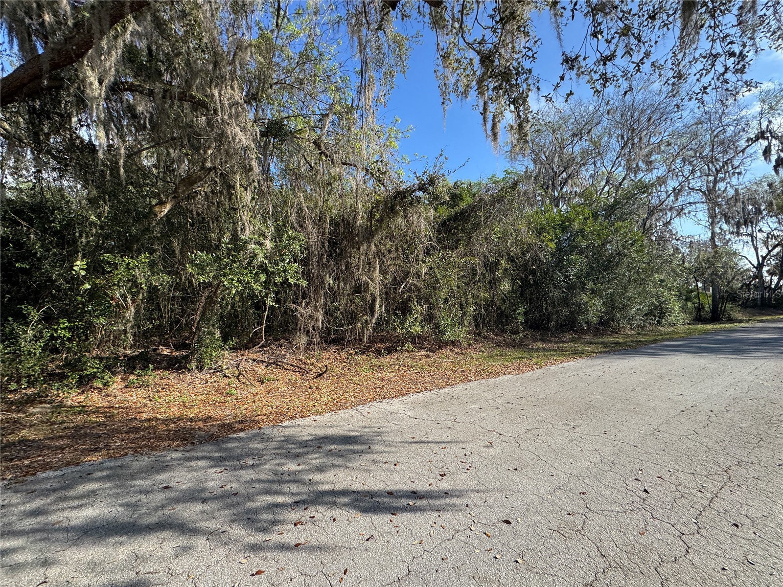 Cr 482c Lake Panasoffkee FL 33538 G5108731 image2