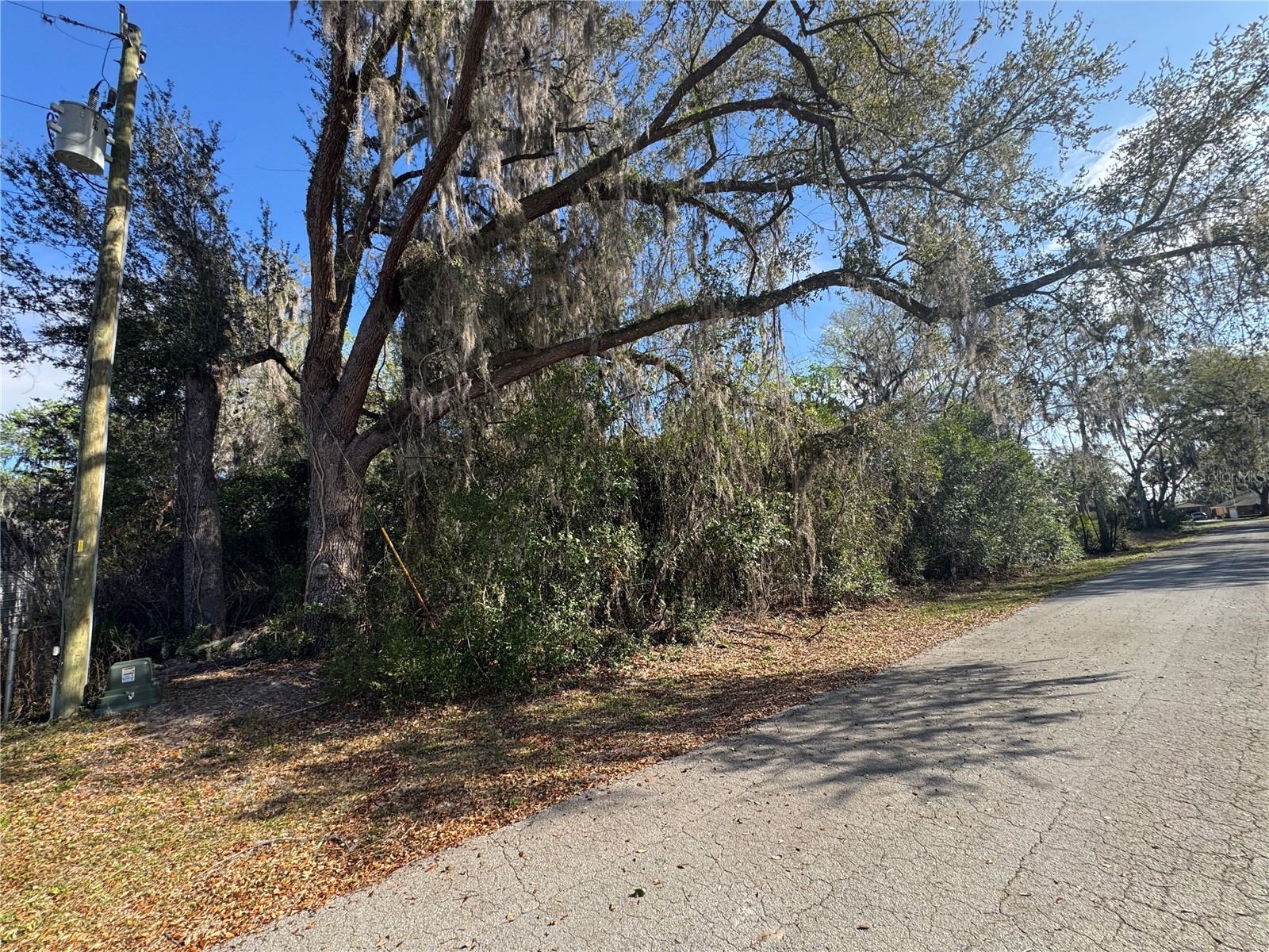 Cr 482c Lake Panasoffkee FL 33538 G5108731 image3