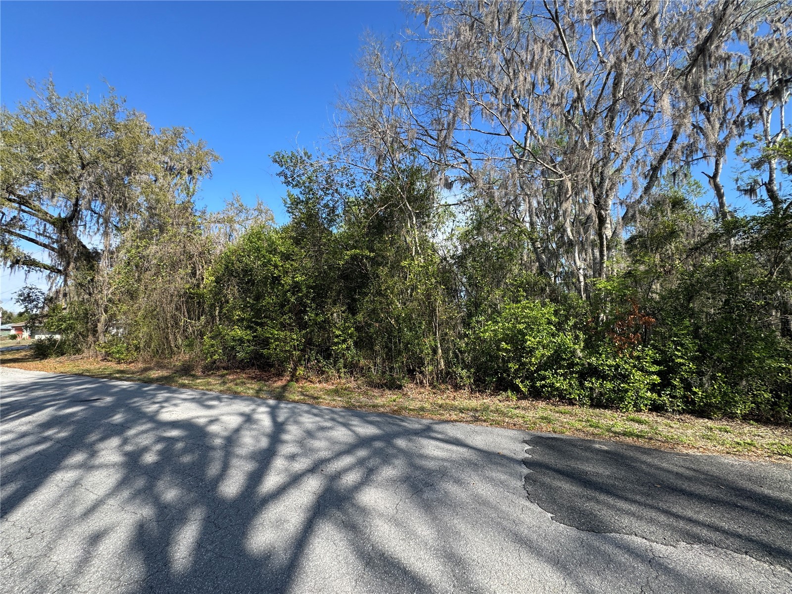 Cr 482c Lake Panasoffkee FL 33538 G5108731 image4