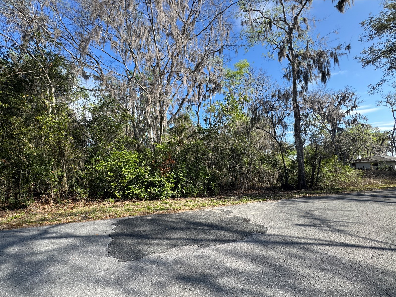 Cr 482c Lake Panasoffkee FL 33538 G5108731 image5