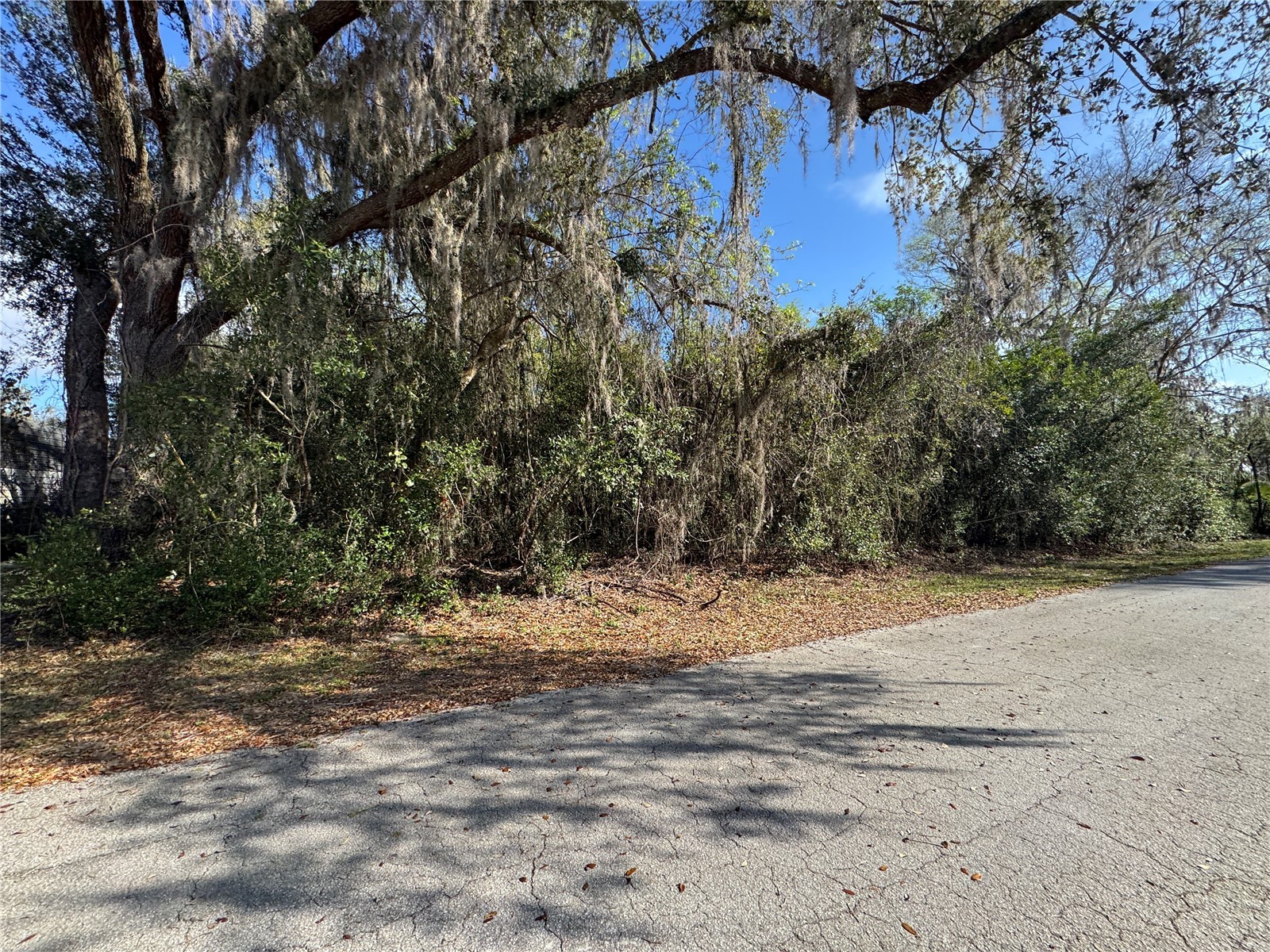 Cr 482c Lake Panasoffkee FL 33538 G5108731 image6