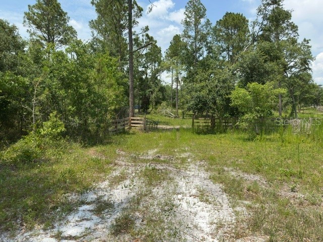 Cr 49 Live Oak FL 32060 A4654124 image12