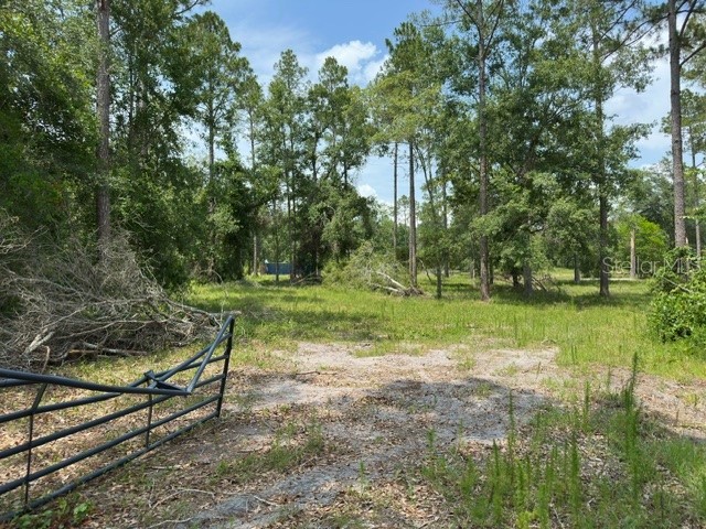 Cr 49 Live Oak FL 32060 A4654124 image13