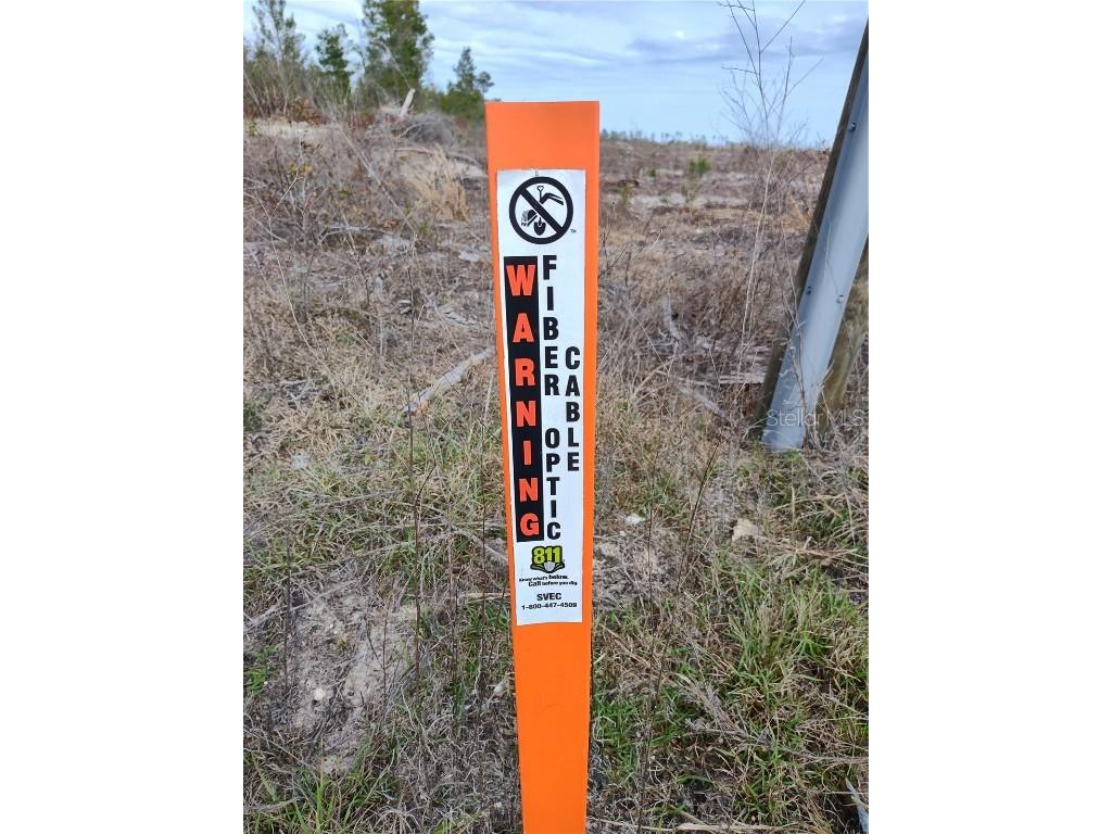 Cr-53 Lee FL 32059 V4943702 image10