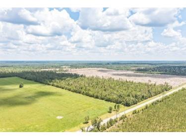 Cr-53 Lee FL 32059 V4943702 image3