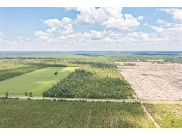 Cr-53 Lee FL 32059 V4943702 image5