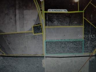 Cr-53 Lee FL 32059 V4943702 image8