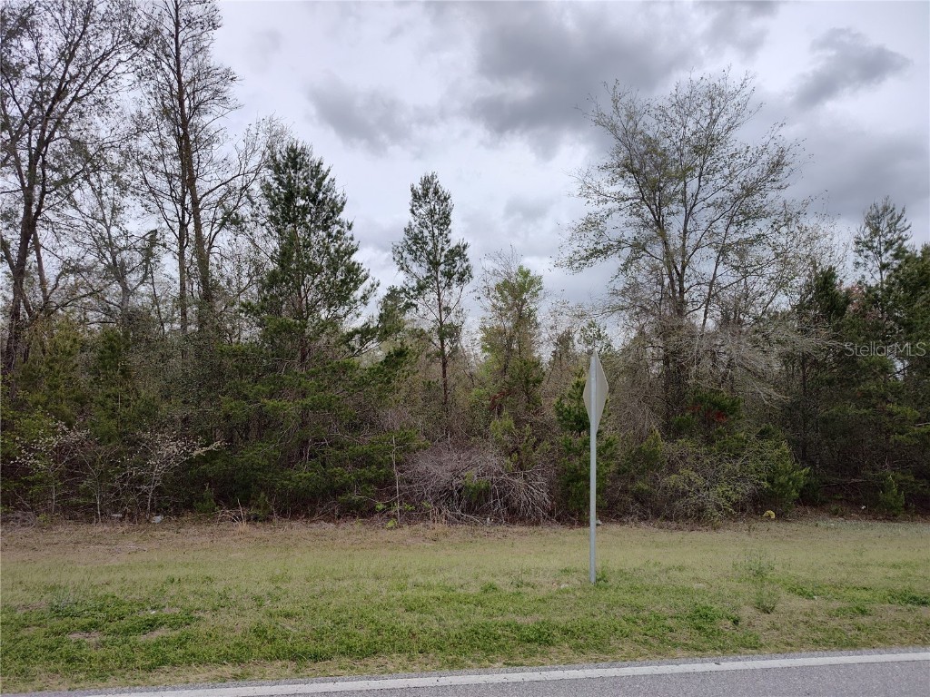 Cr-53 Lee FL 32059 V4943702 image9